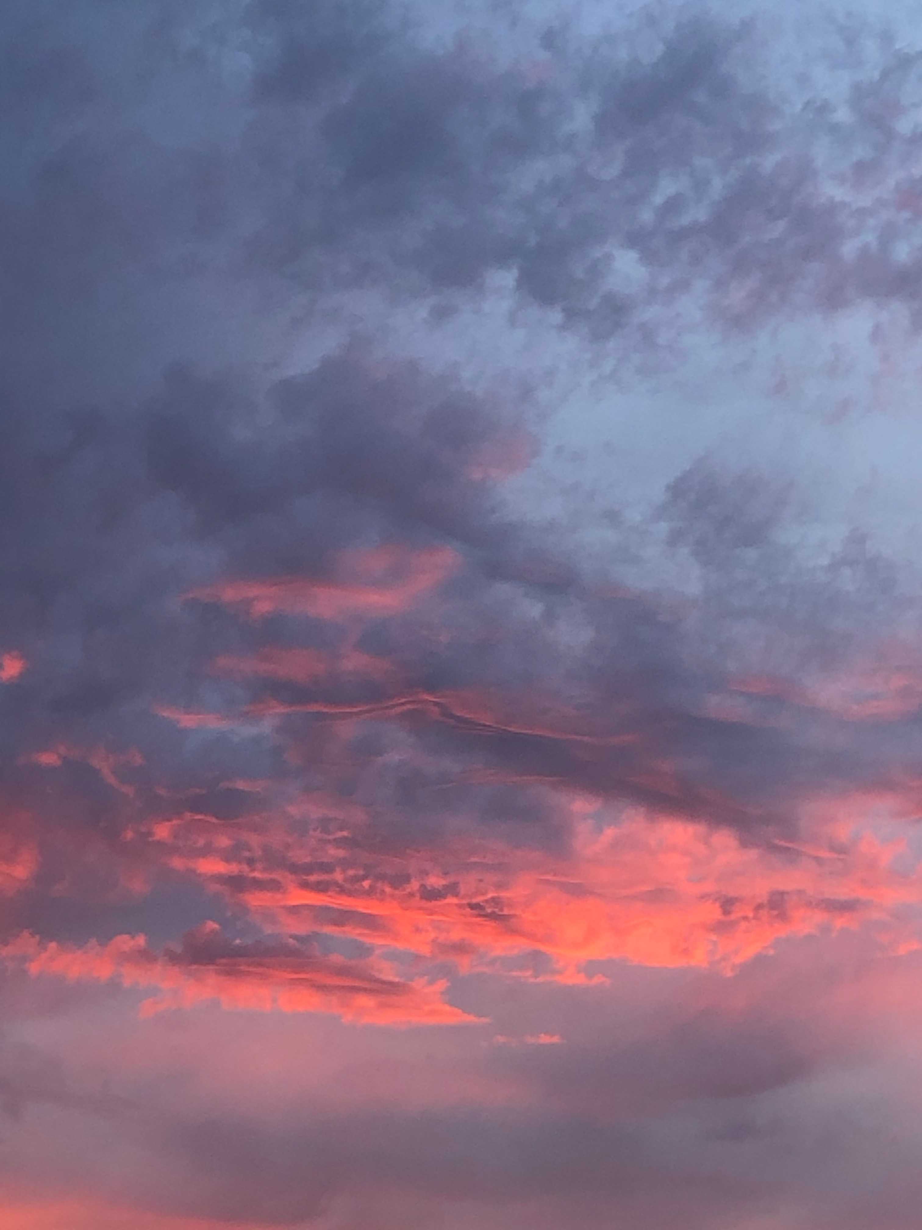 Sunsetting Shoppy Bot